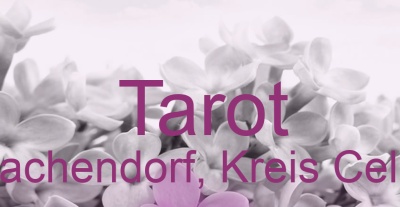 Tarot Lachendorf, Kreis Celle | Top-Experten für Kartenlegen, Wahrsagen, Hellsehen, Zukunftsdeutung. Tarot Lachendorf, Kreis Celle | Top-Experten für Kartenlegen, Wahrsagen, Hellsehen, Zukunftsdeutung.
